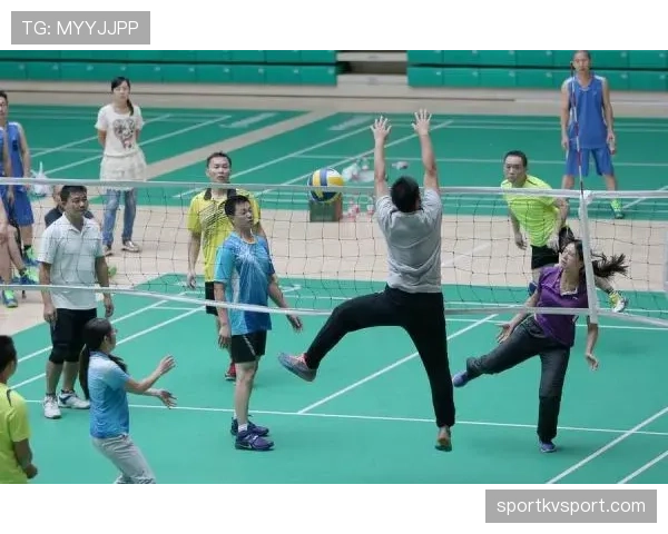 掷界外球的规则与判罚：正确动作及常见误区解析